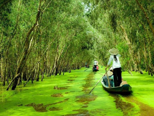Mekong Delta Discovery Full Day